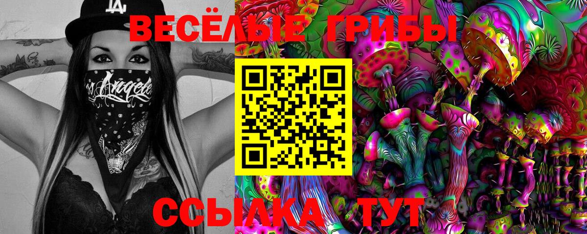Копейск  Псилоцибиновые грибы Cubensis  Вход с VPN 
